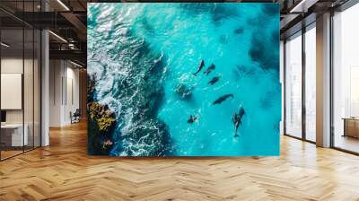 Aerial view Group of dolphins swimming in the ocean with crashing waves, symbolizing the beauty of marine life. Protect animals and the ocean environment. Background marine life Wall mural