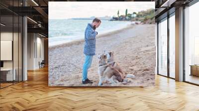 Bearded man walking  on the beach with two redhead husky Wall mural