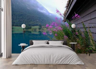 Close up of purple flowers of Chamaenerion angustifolium growing next to wooden house by lake. Oppstrynsvatn (Strynevatnet, Strynevatn) lake in municipality of Stryn in county of Sogn og Fjord, Norway Wall mural