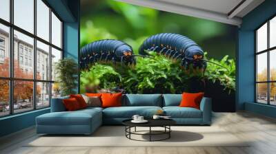 Two black and orange millipedes on green moss in a natural setting. Wall mural