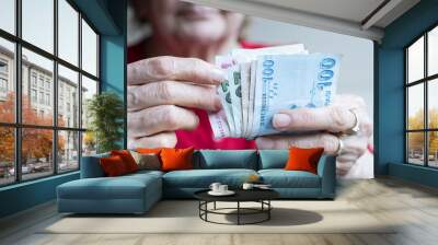 woman holding Turkish lira banknotes Wall mural