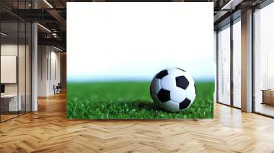 Selective focus image of football, soccer ball on green soccer field isolated on white background Wall mural