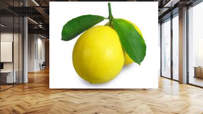 Lemon isolated on white Wall mural