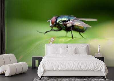 macro Wall mural