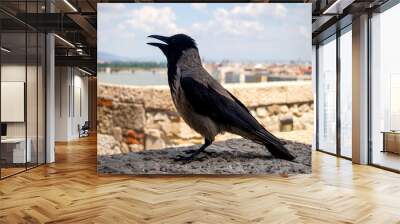 A hoodiecrow was showing off on the castle wall in Budapest. He allowed people to approach him at arm's length and looked around curiously. The Danube river can be seen in the background. Wall mural