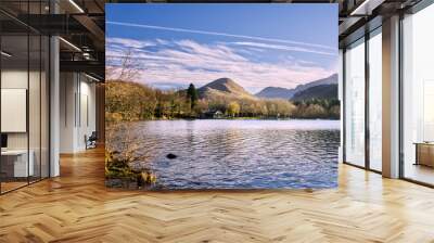 Panoramic view of the lake of Lourdes, France. Wall mural