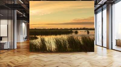 sunset in the florida everglades panorama Wall mural