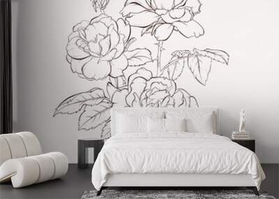 Sketch Floral Botany Collection. Rose flower drawings. Black and white with line art on white backgrounds. Hand Drawn Botanical Illustrations. Wall mural