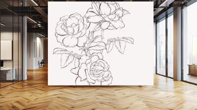 Sketch Floral Botany Collection. Rose flower drawings. Black and white with line art on white backgrounds. Hand Drawn Botanical Illustrations. Wall mural