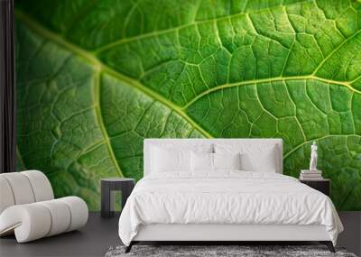 detailed macro shot of a green leaf vein texture background Wall mural