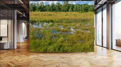 huge water puddle in a moorland forest landscape 2 Wall mural