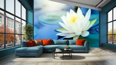 beautiful White Lotus Flower with green leaf in in pond Wall mural