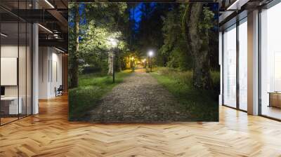 Lighted avenue in a park in the evening. Zakopane. Poland Wall mural