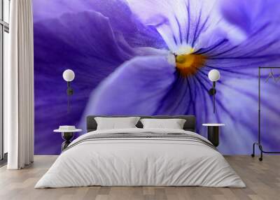 purple flower macro background or wallpaper Wall mural