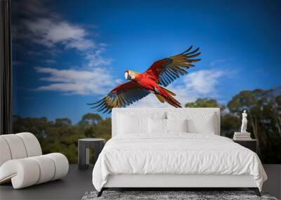 A Scarlet Macaw Flies in Front of a Clear Blue Sky Wall mural