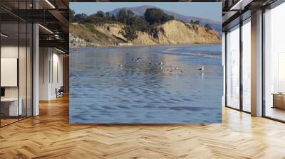 Beach life in southern California near Summerland with a flock of seagulls in the foreground and people in the distance on a nice and warm November day Wall mural