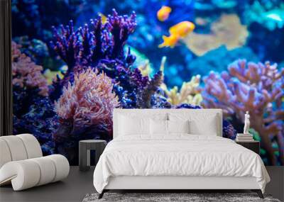 Corals and anemones with tropical fish in background Wall mural