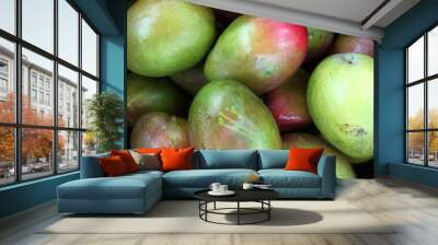 Fresh big ripe mangoes displayed for sale at a farm market stand Wall mural