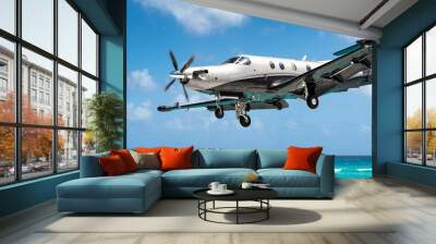 AIRCRAFT IN FLIGHT Wall mural