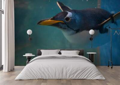 penguin in the water Wall mural