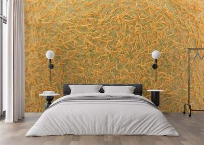 kiwi texture - skin closeup  Wall mural