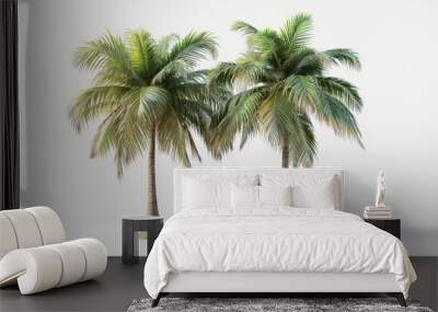 Big tropical palm tree on white background Wall mural