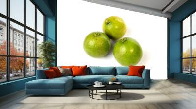 Green limes on white background Wall mural