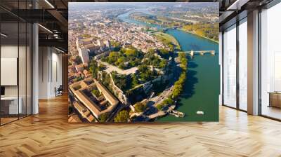 Aerial view of French city Avignon Wall mural