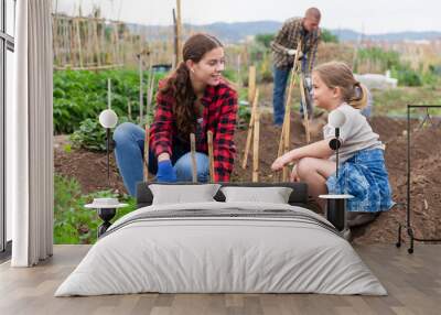 American woman gardener and little girl planting seedlings at a garden on a warm spring day Wall mural