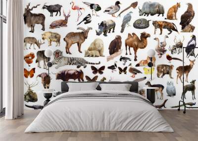 animal collection asia Wall mural