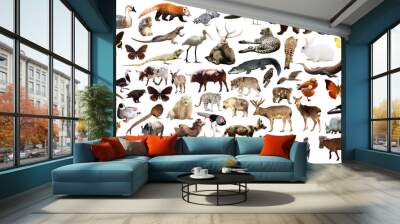 asia animals isolated Wall mural