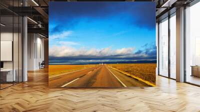 Asphalt road among fields Wall mural