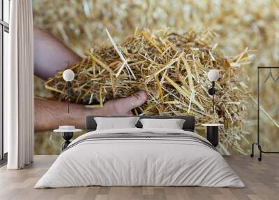 Close-up of straw for fodder for cows in the hands of farmer in a warehouse Wall mural