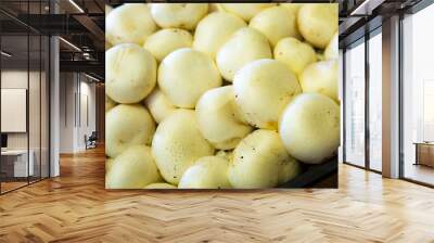 Closeup of fresh white champignons in plastic box. Popular commercially cultivated edible mushrooms. Wall mural