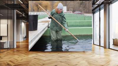 Female standing in water catching fish on sturgeon farm Wall mural