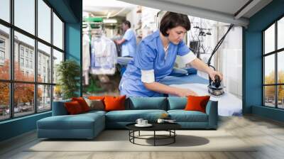 Girl ironing in laundry Wall mural