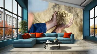 Hands of farmer holding handful of soy flour, animal feed. Wall mural