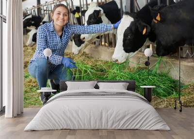 Latino american positive woman working in cowshed, engaged in breeding of milking cows Wall mural