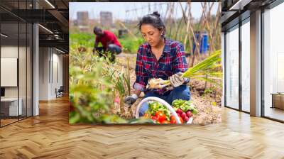 Latino woman working on a farm field on hot day Wall mural