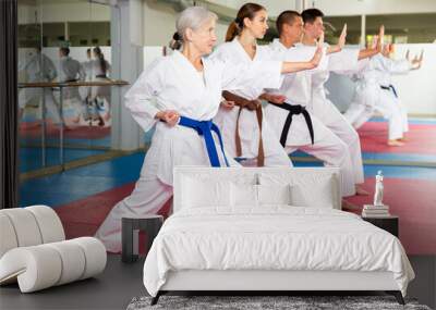 Modern determined aged woman practicing martial arts with group of adults in gym. Seniors active lifestyle concept Wall mural