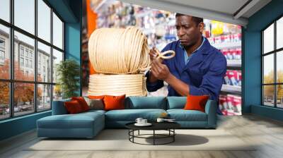 portrait of focused young salesman arranging different goods on stand in shop of household materials and tools Wall mural