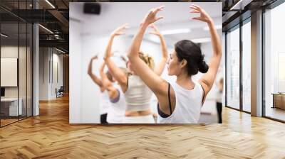 Row of female ballet dancers in dance studio Wall mural