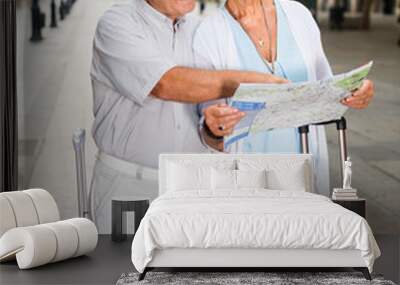 Senior couple of tourists with map and city guide walking Wall mural