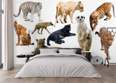 Set of wild mammals isolated over white Wall mural