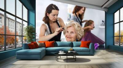 Skilled woman hairdresser making hairstyle for elderly female client in hair studio.. Wall mural