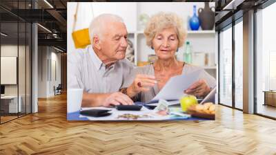 Smiling senior couple counting home finances Wall mural