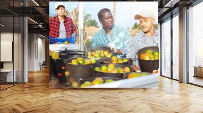 Two farmers harvesting tomatoes in buckets and stacking them on back of truck in a farmer field Wall mural