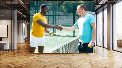 Two men padel tennis players of different nationalities shake hands in a friendly way on an outdoor court as a sign of greeting Wall mural