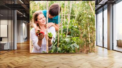 Woman gardener with boy picking harvest of  peppers  in  sunny hothouse Wall mural