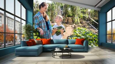 Woman with son harvesting zucchini Wall mural